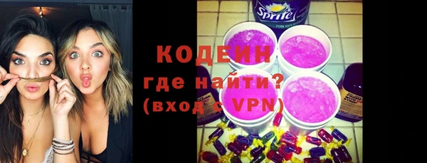 хмурый Кодинск