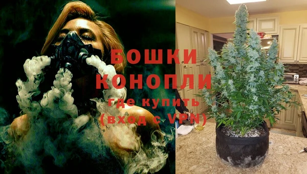 бошки Козловка
