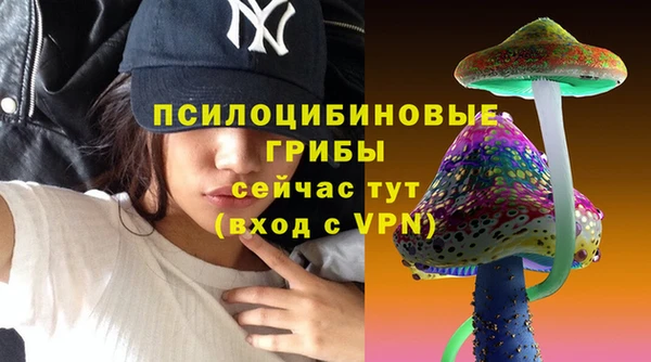 хмурый Кодинск