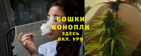 хмурый Кодинск