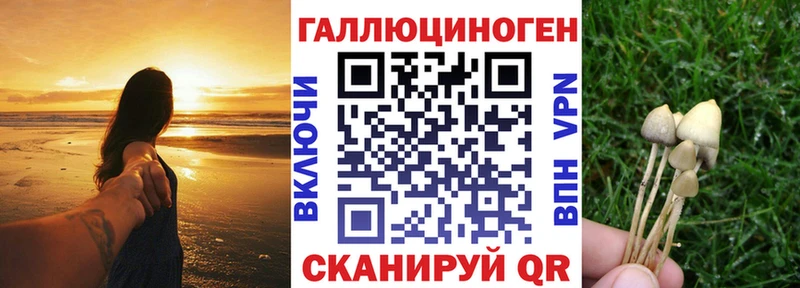 Псилоцибиновые грибы Cubensis Никольск